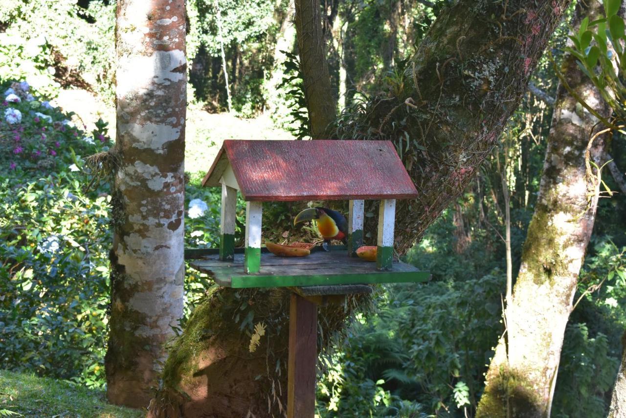 Pousada Amanita Monte Verde Monte Verde  Exterior foto